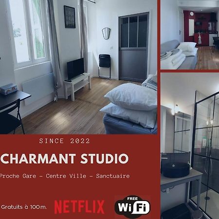 Charmant Studio Proche Centre Ville Et Gare ルルド エクステリア 写真